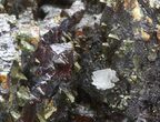 Sphalerite with Marcasite & Chalcopyrite - Missouri #40587-3